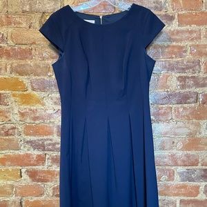 Navy Blue Fit and Flare Dress with Cap Sleeves